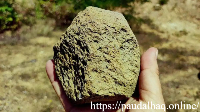 Batu Berusia 250 Juta Tahun Buktikan Nenek Moyang